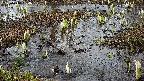 mizubasho4-20250404154056.jpg