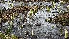 mizubasho4-20250404164052.jpg
