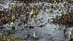 mizubasho4-20250404180056.jpg