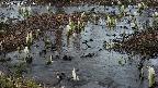 mizubasho4-20250404181053.jpg