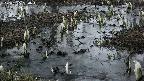 mizubasho4-20250405050050.jpg