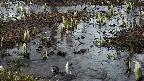 mizubasho4-20250405051053.jpg