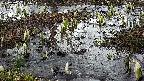mizubasho4-20250405055055.jpg