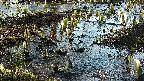 mizubasho4-20250405075050.jpg