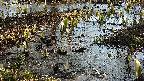 mizubasho4-20250405080051.jpg