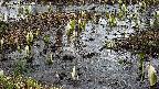 mizubasho4-20250405084054.jpg