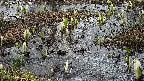 mizubasho4-20250405093054.jpg
