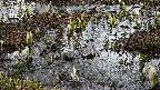 mizubasho4-20250405100053.jpg