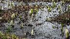 mizubasho4-20250405111057.jpg