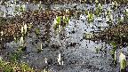 mizubasho4-20250405121057.jpg