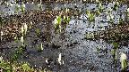 mizubasho4-20250405122057.jpg