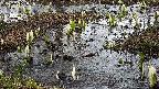 mizubasho4-20250405141055.jpg