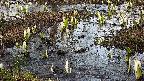 mizubasho4-20250405164057.jpg