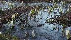 mizubasho4-20250405181057.jpg