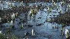mizubasho4-20250405182054.jpg