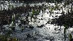 mizubasho4-20250406051054.jpg