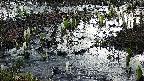 mizubasho4-20250406052056.jpg