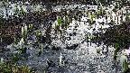 mizubasho4-20250406053057.jpg