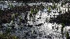 mizubasho4-20250406060058.jpg