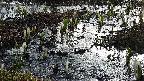 mizubasho4-20250406061055.jpg