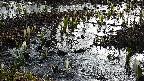 mizubasho4-20250406063054.jpg