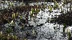 mizubasho4-20250406065057.jpg