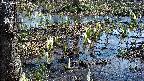 mizubasho4-20250406094058.jpg