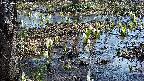 mizubasho4-20250406095054.jpg