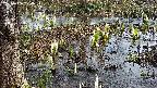 mizubasho4-20250406104053.jpg