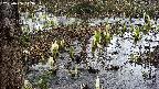 mizubasho4-20250406113053.jpg