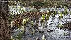mizubasho4-20250406125056.jpg