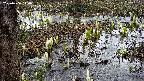 mizubasho4-20250406140054.jpg
