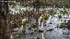 mizubasho4-20250406144054.jpg