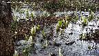 mizubasho4-20250406154057.jpg