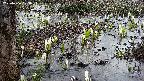 mizubasho4-20250406173054.jpg