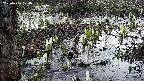 mizubasho4-20250406174058.jpg