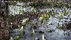 mizubasho4-20250406175053.jpg