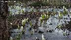 mizubasho4-20250406180054.jpg