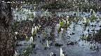 mizubasho4-20250406181050.jpg
