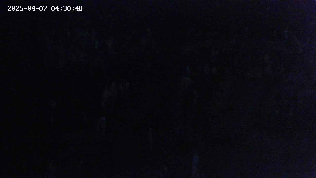 mizubasho4-20250407043049.jpg