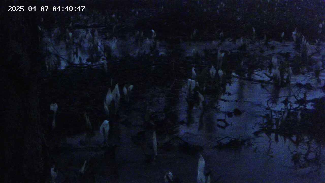 mizubasho4-20250407044048.jpg