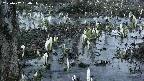 mizubasho4-20250407050053.jpg