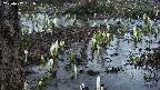 mizubasho4-20250407051054.jpg