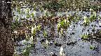 mizubasho4-20250407120056.jpg
