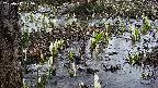 mizubasho4-20250407175058.jpg