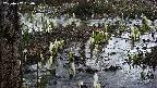 mizubasho4-20250407180054.jpg