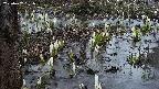mizubasho4-20250407181056.jpg