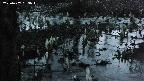mizubasho4-20250407183050.jpg