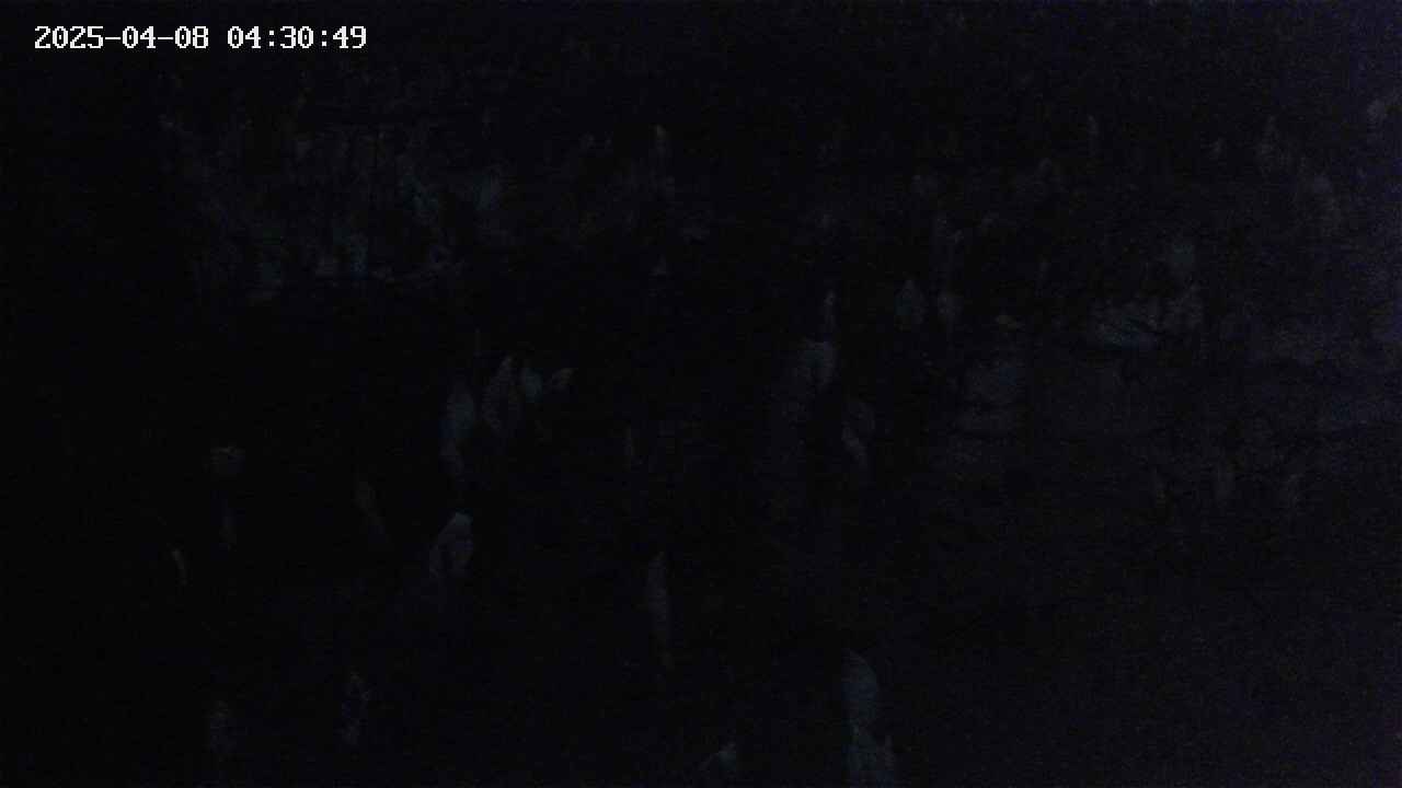mizubasho4-20250408043050.jpg