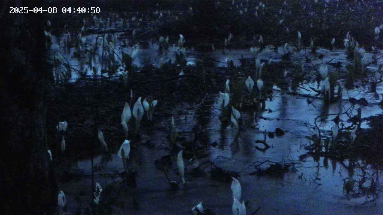 mizubasho4-20250408044051.jpg